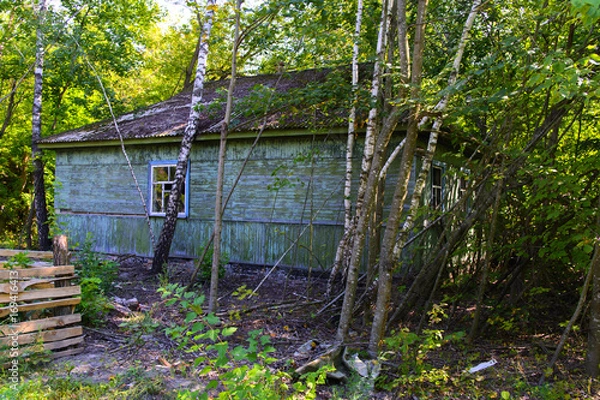 Obraz Destroyed houses in which people lived in a dead radioactive zone. Consequences of the Chernobyl nuclear disaster and vandalism, August 2017.