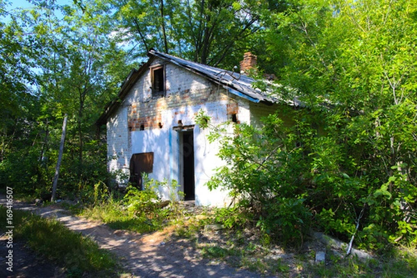 Obraz Destroyed houses in which people lived in a dead radioactive zone. Consequences of the Chernobyl nuclear disaster and vandalism, August 2017.