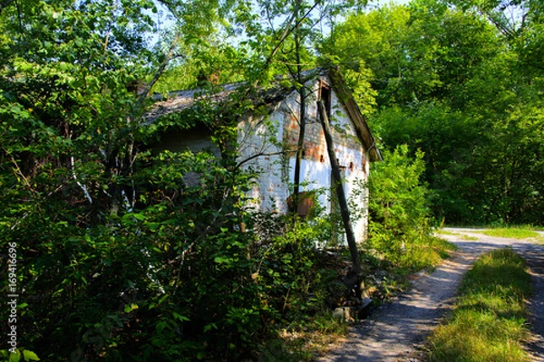 Obraz Destroyed houses in which people lived in a dead radioactive zone. Consequences of the Chernobyl nuclear disaster and vandalism, August 2017.
