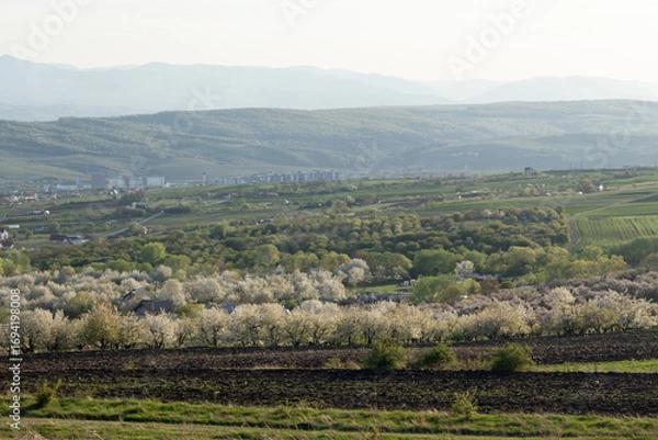 Obraz Spring above Cluj