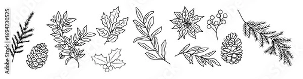 Fototapeta Hand drawn vector illustration of winter greenery, pine branches, holly, poinsettia, berries, and cones. Festive botanical elements for Christmas design, cards, and seasonal decorations.