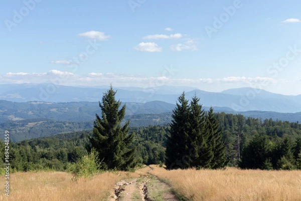 Obraz Misterious Romanian mountains