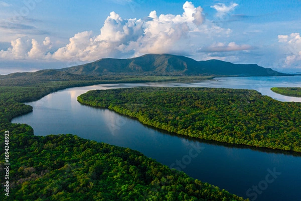 Obraz Aerial View of River Through Lush Rainforest