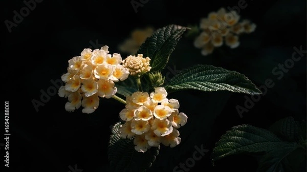 Obraz Delicate light beige flowers cluster