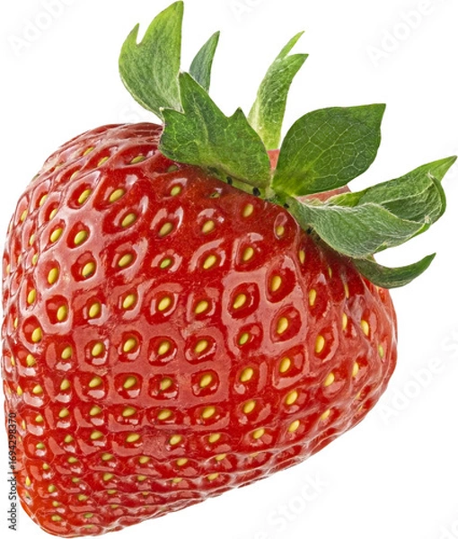 Obraz One whole strawberry isolated on white background