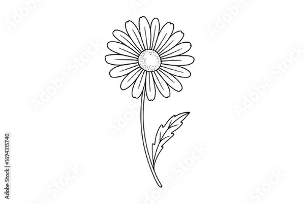 Fototapeta Nature and floral silhouette icon set. minimalist botanical shapes in outline style