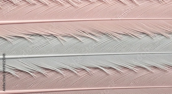 Fototapeta Close up of Pink and Gray Feathers in a Row