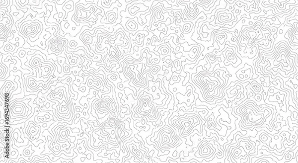 Fototapeta Detailed topographic map contour lines on white background representing landscape