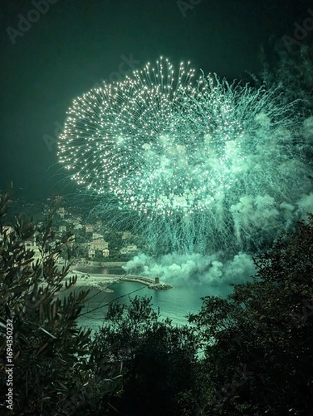 Obraz fireworks in the sea