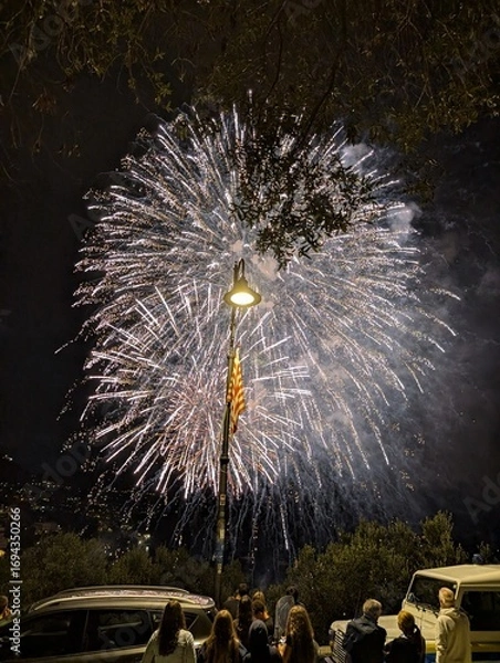 Obraz fireworks over the river