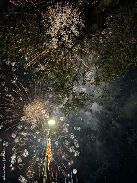 Obraz fireworks over the river