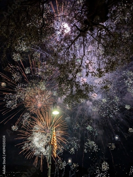 Obraz fireworks in the sky