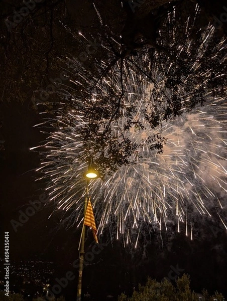 Obraz fireworks in the sky