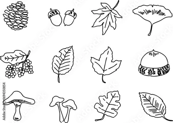 Obraz 秋の枯葉や葉っぱ・どんぐりなどの小物の線画モノクロイラスト・アイコンセット