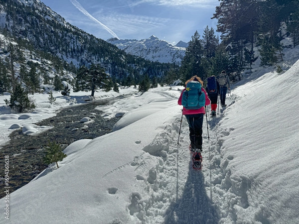 Obraz Vallée du mercadau