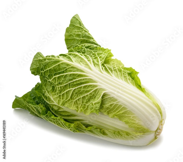Fototapeta Fresh chinese cabbage