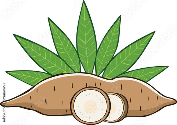 Fototapeta A whole cassava root with two cross-sections, accompanied by vibrant green leaves.