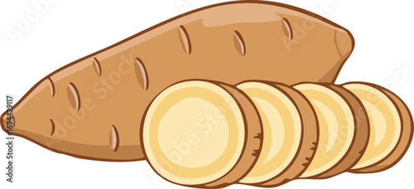 Fototapeta Illustration of a whole cassava root with several slices arranged next to it.