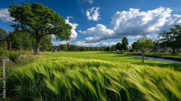 Fototapeta Lush Green Field with Trees and Blue Sky.