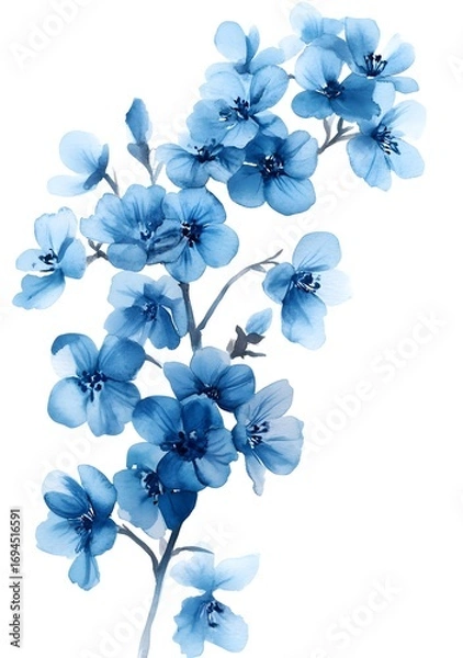 Fototapeta Watercolor blue flax flower clipart, on a white background with margins, 