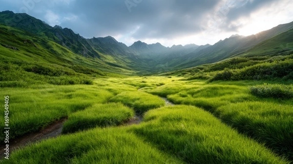 Fototapeta This image captures a vibrant valley blanketed with lush green grass, framed by towering mountains under a dynamic sky, evoking feelings of peace and tranquility in nature.