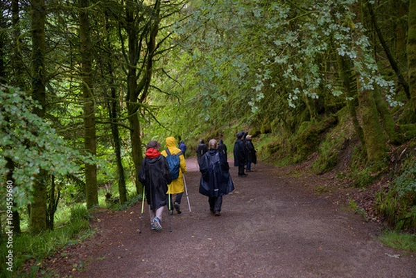 Fototapeta Groupe de randonneurs sous la pluie en Bretagne