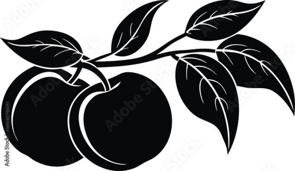 Fototapeta peaches with leaves on a branch Vector illustration