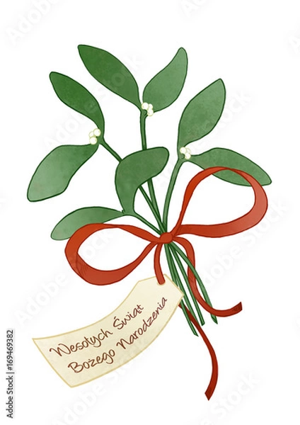 Obraz mistletoe