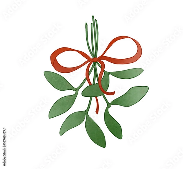 Obraz mistletoe