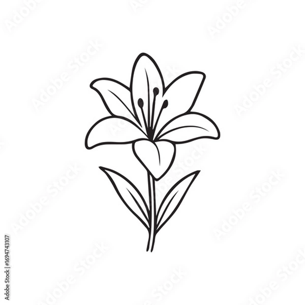 Fototapeta Simple Black and White Lily Flower Outline Vector Illustration