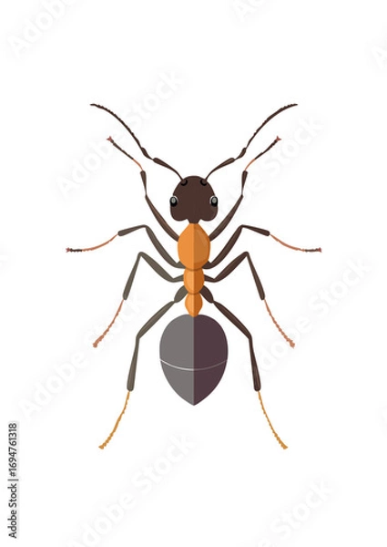 Fototapeta Playful Flat Vector Illustration of an Ant – Modern and Clean Design