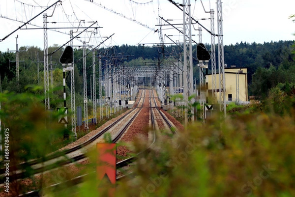 Fototapeta railway tracks in the forest, Strzyzyna railway station