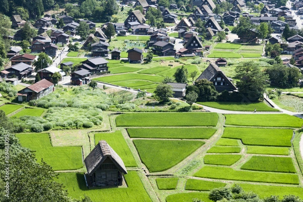 Obraz 初夏の白川郷