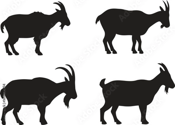 Obraz Four black silhouette goat poses standing isolated on white background