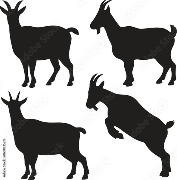Obraz Collection of four black goat silhouettes in different poses on white background