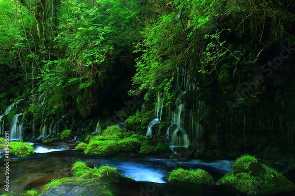 Fototapeta 夏の元滝伏流水