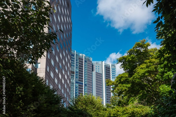 Obraz  ビル街と植物