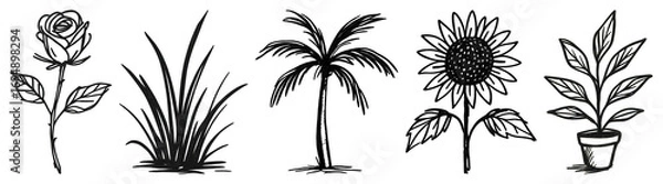 Fototapeta PNG Hand-drawn botanical plant collection, element set on transparent background