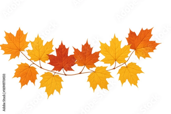 Fototapeta Vibrant maple leaves garland on transparent background for autumn designs
