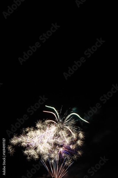 Obraz Firework