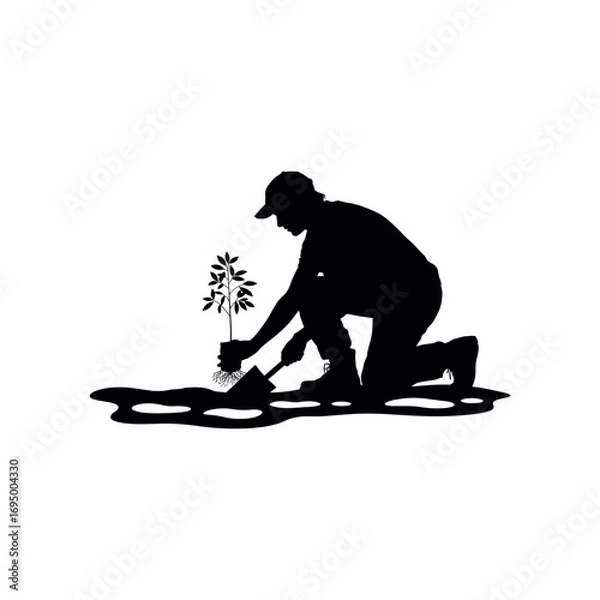 Obraz Silhouette of person planting a small tree with shovel and roots exposed seedling