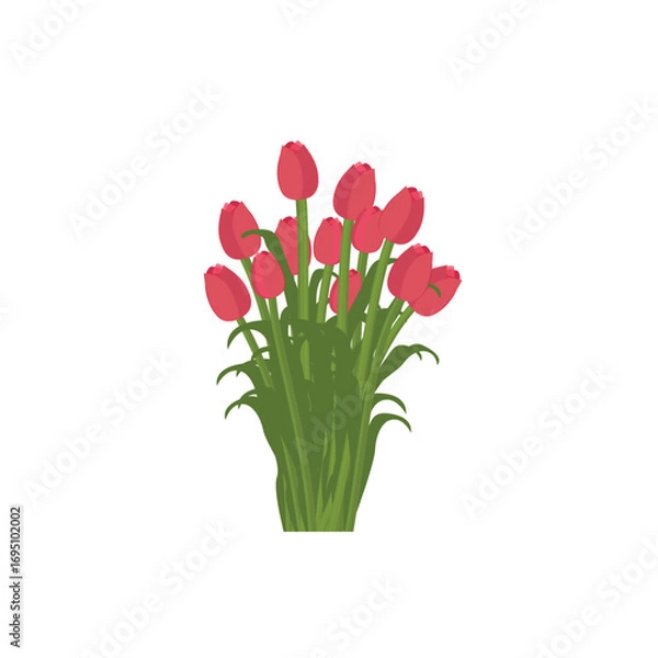Fototapeta tulip flower bouquet vector