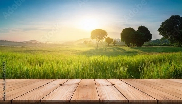 Fototapeta tree table wood podium in farm display for food perfume and other products on nature background table in farm with grass sunlight at morning