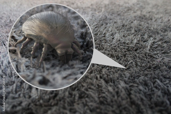 Fototapeta Roztocza kurzu domowego - renderowanie 3D