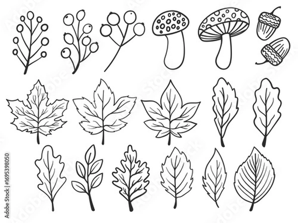 Fototapeta Set of hand drawn autumn doodles including leaves, mushroom, berries, acorn. Doodle fall dry leaves.