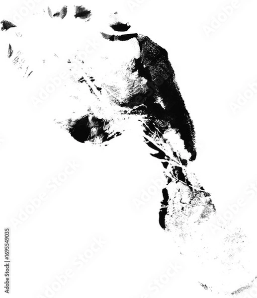 Obraz Footrpint Textures