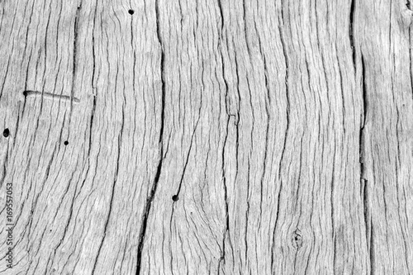 Fototapeta fond texture bois sec, vieux tronc d'arbre en noir et blanc 