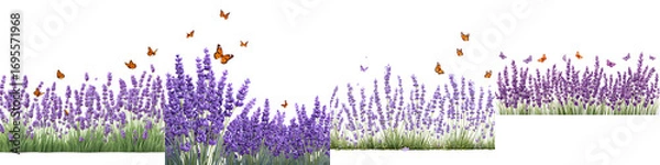 Fototapeta Lavender Fields and Butterflies Vector Illustration - Floral Design Elements