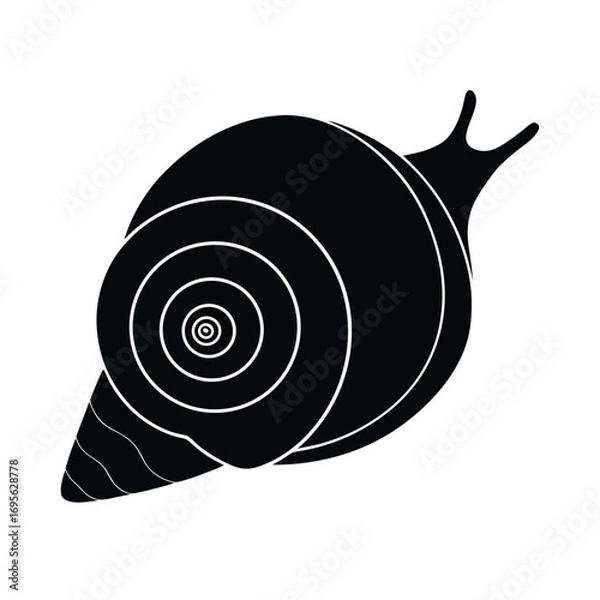 Obraz snail on a white background