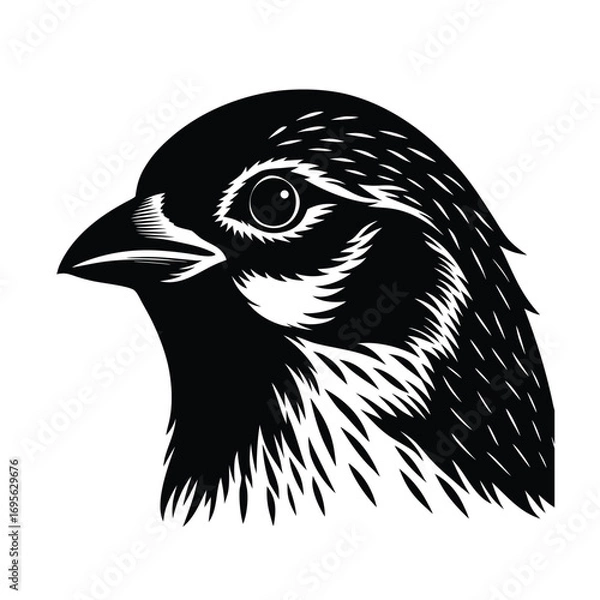 Obraz vector illustration of a bird